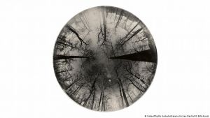 Artikelbild