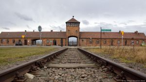 Artikelbild